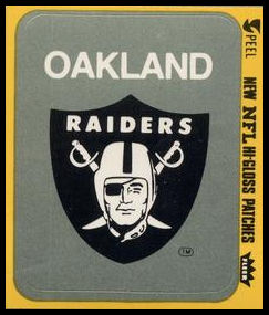Oakland Raiders Logo VAR